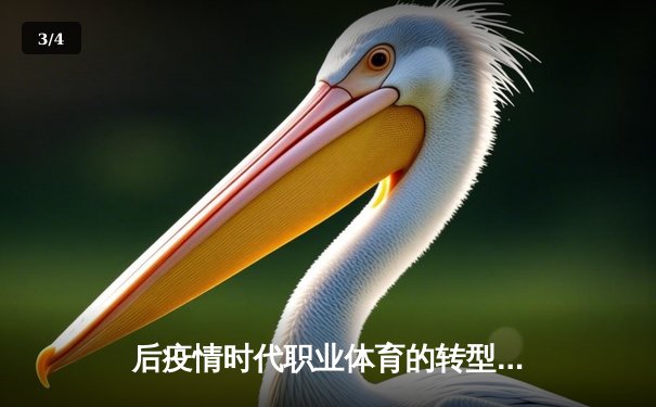 后疫情时代职业体育的转型与突围：数字化生存与新商业逻辑 - 3